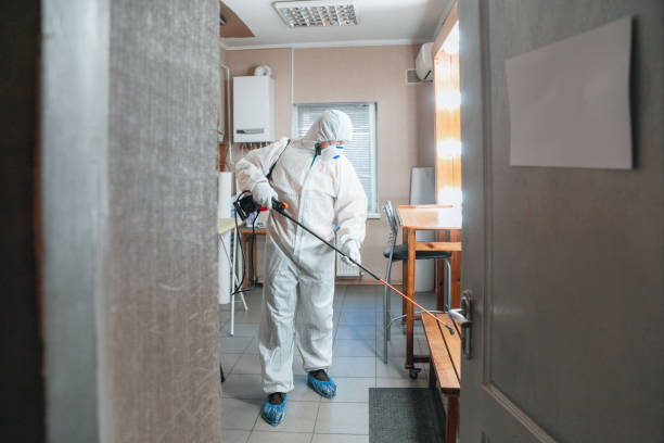 Best Mold-Related Health Consultation  in Wellman, IA