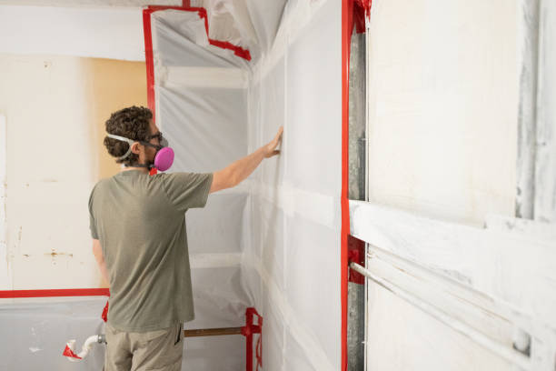 Mold Documentation for Insurance Claims in Wellman, IA