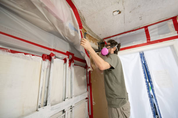 Trusted Wellman, IA Mold Removal Experts