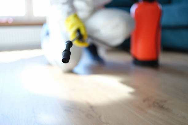 Best Mold Removal for HVAC Installations  in Wellman, IA