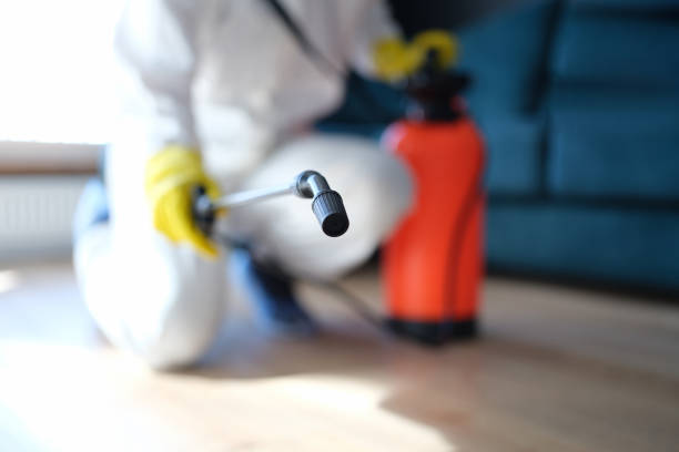 Best Emergency Mold Remediation  in Wellman, IA