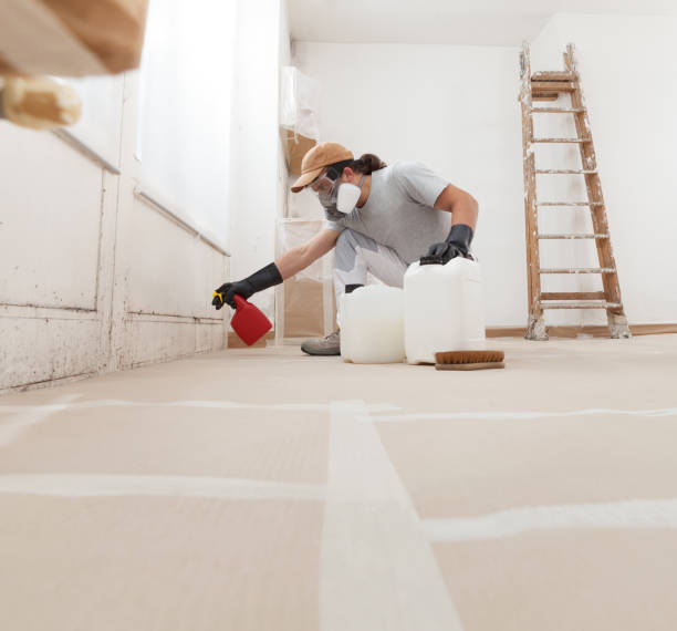 Best Indoor Air Quality Assessment  in Wellman, IA