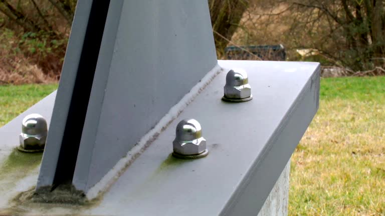 Best Environmental Consulting for Mold Prevention  in Wellman, IA